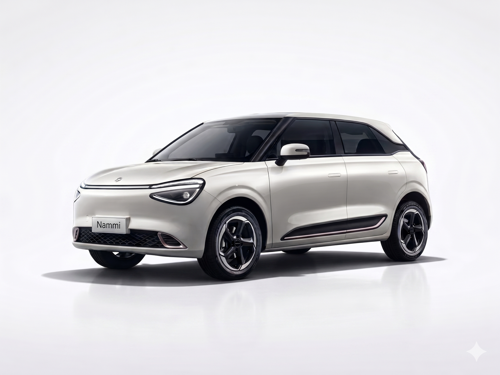 Dongfeng Nammi