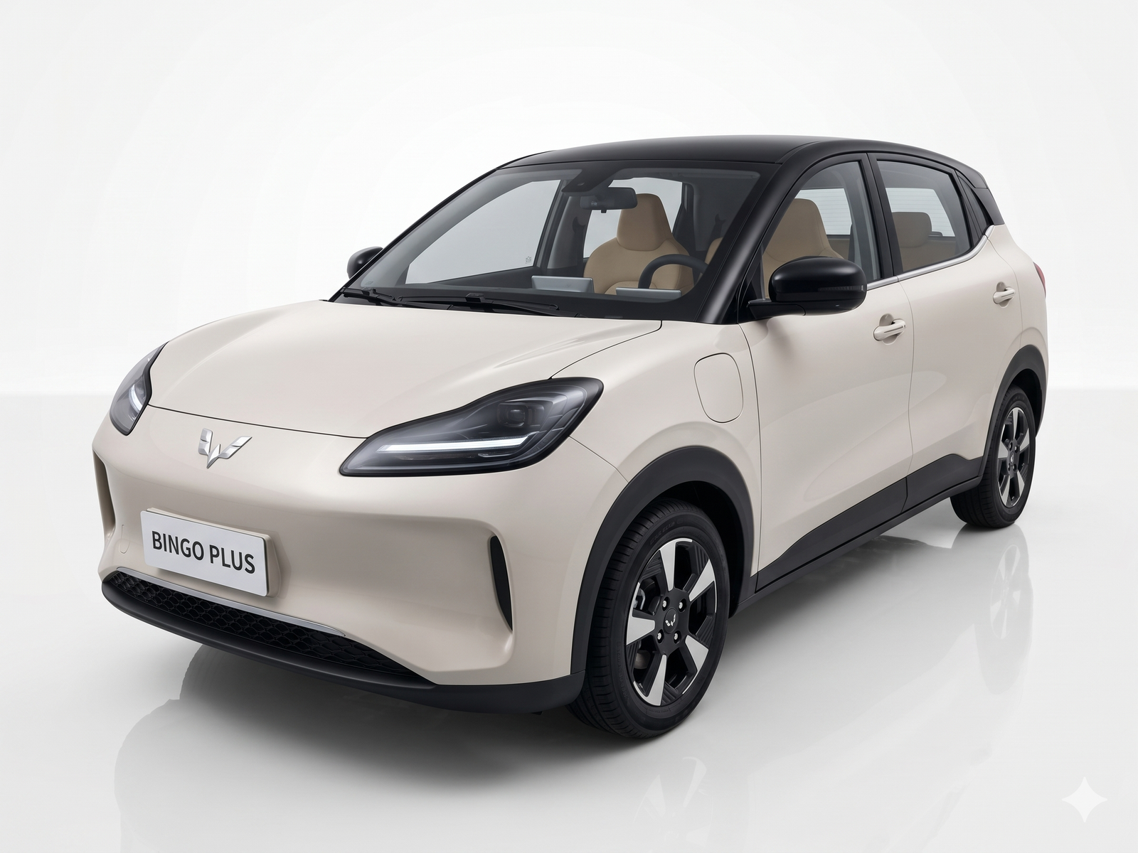 Wuling Bingo